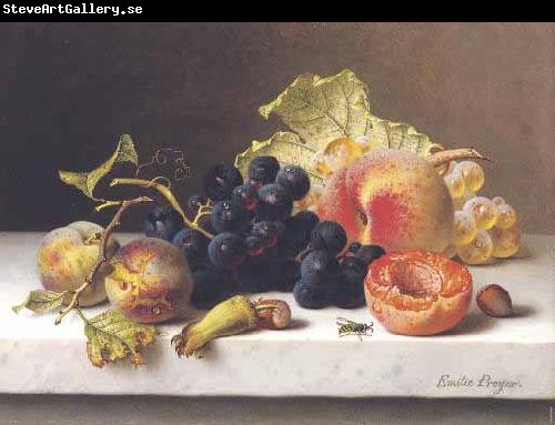 Johann Wilhelm Preyer Grapes peaches and plums on a marble ledge